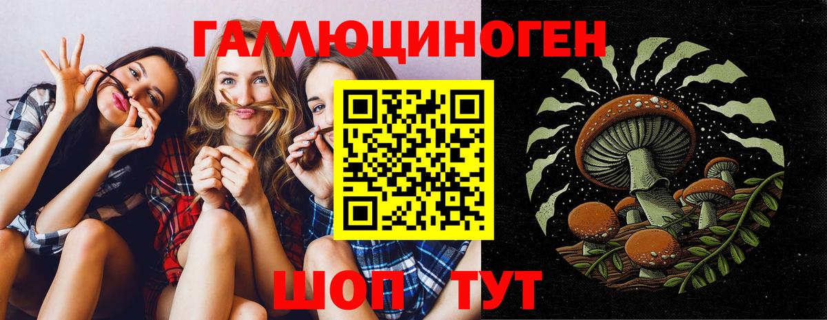 Галлюциногенные грибы Magic Shrooms Ростов-на-Дону
