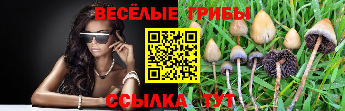 Галлюциногенные грибы MAGIC MUSHROOMS  Галлюциногенные грибы Cubensis  Ростов-на-Дону  Вход с VPN 